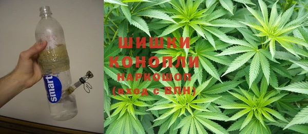 ешки Арсеньев
