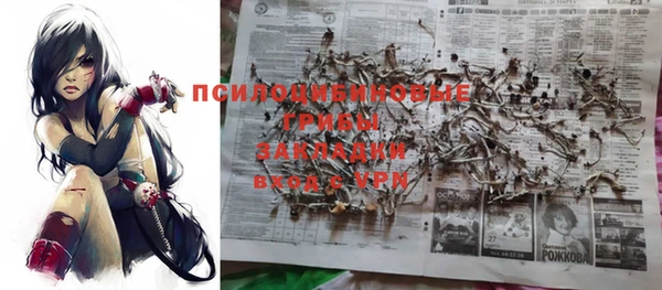 прущая мука Армянск