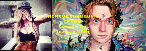 прущая мука Армянск