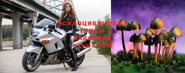 MDMA Premium VHQ Аркадак