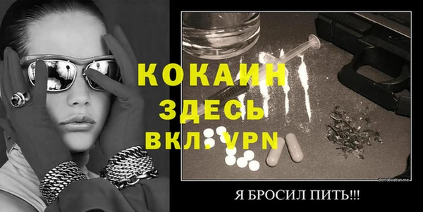 твердый Новодвинск
