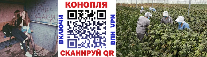 Купить закладки  Ардон  Каннабис планчик 